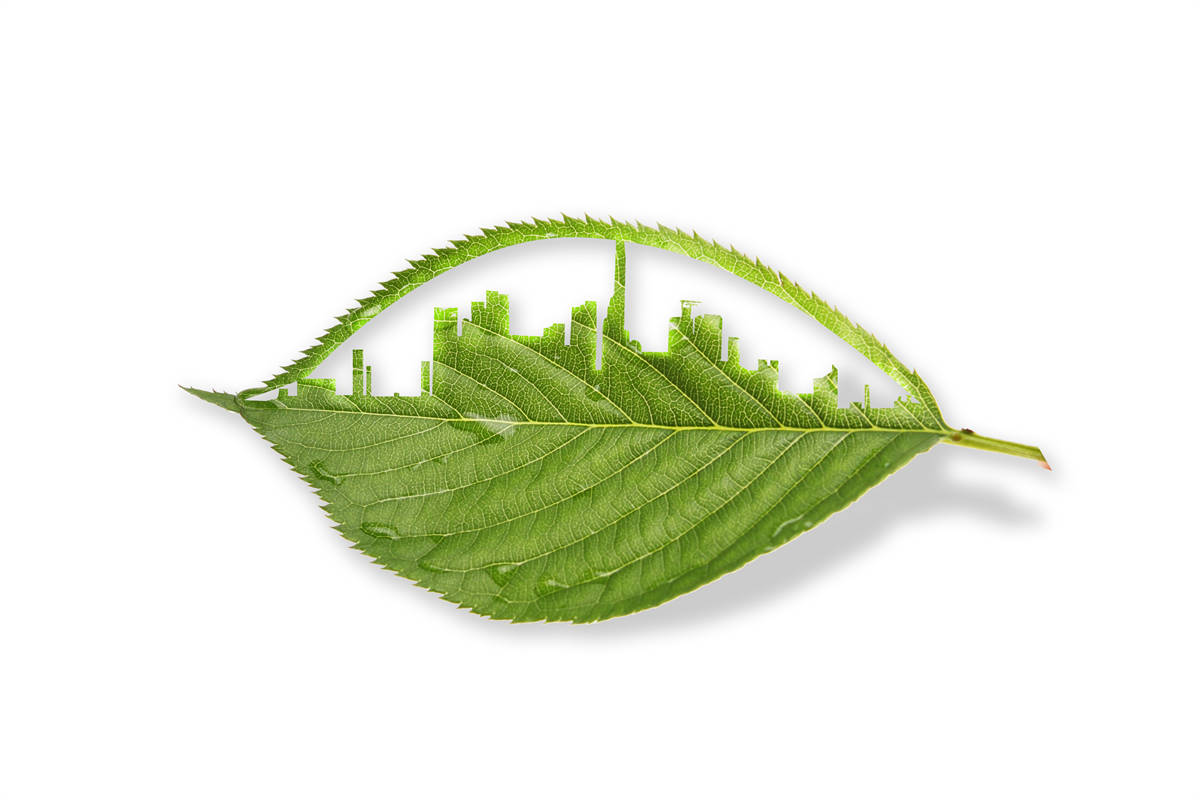 高溫烘干掀起熱泵行業新的應用熱潮